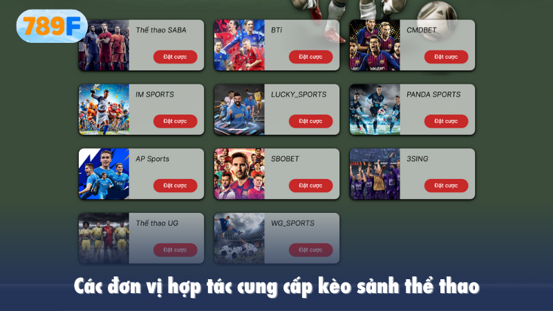 Các đơn vị hợp tác cung cấp kèo sảnh thể thao