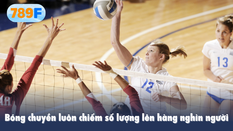 bóng chuyền luôn chiếm số lượng lên hàng nghìn người