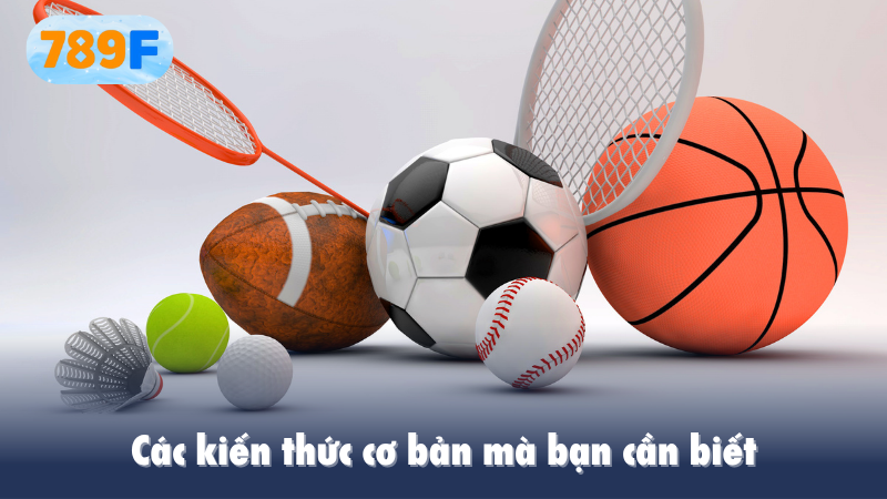 Các kiến thức cơ bản mà bạn cần biết